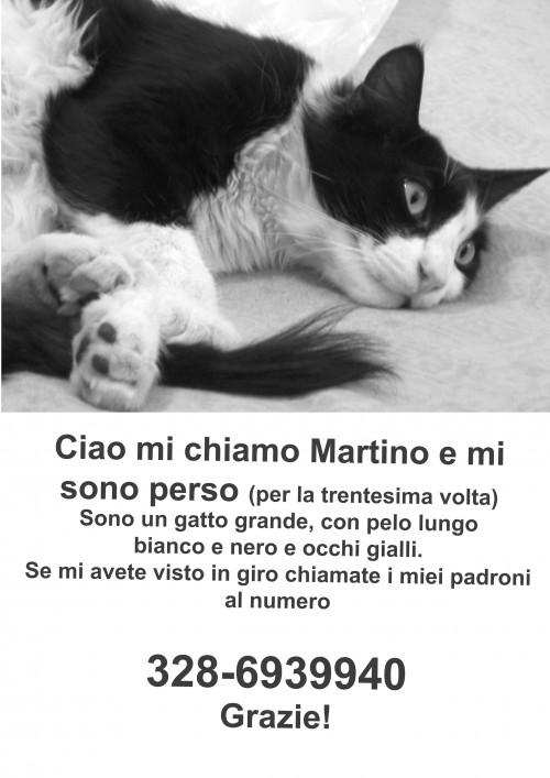 manifesto_martino copy